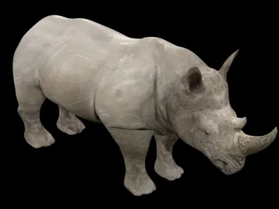 Rhinoceros Rigged Low-poly 3D model