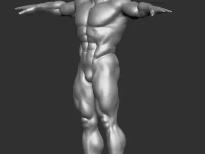 Male Template Muscle Buff Superhero Body 3D model