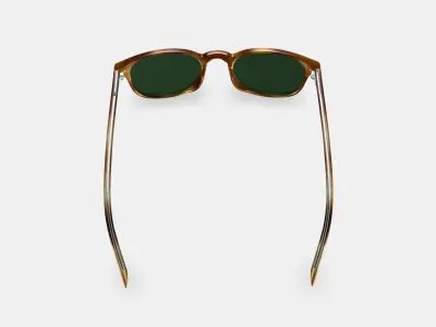 Downing Sunglasses in English Oak Low-poly 3D model