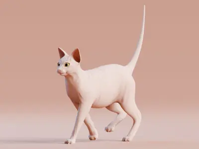 Low poly - Stylized cats - Sphynx Cat  Low-poly 3D model