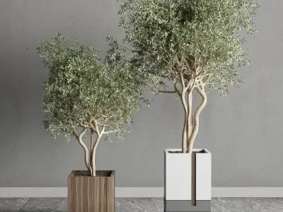 Box pot plant and tree shrub bush indoor plant set  3D model