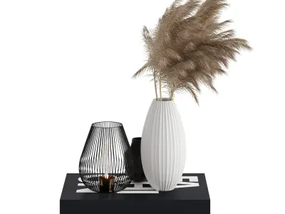 Decorative Set - With Dried Flowers- Vase -Candle and Book  3D model
