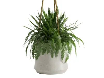 Clay Hanging Pot 3D model