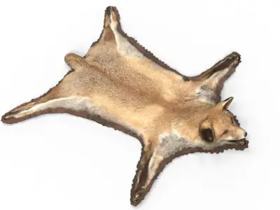 CARPET FOX 3D model