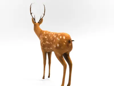 Cute Deer Rigged  Low-poly 3D model