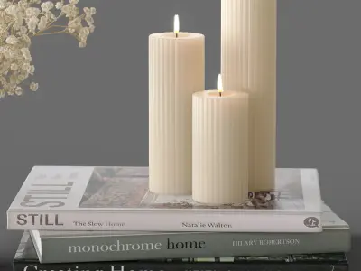 Decor Gypsophila candles and books Set 44 3D model