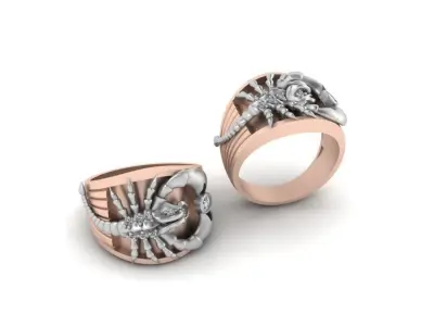 3d-model ring  3D print model