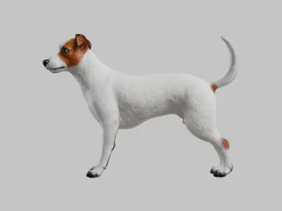 Terrier Dog Low-poly 3D model