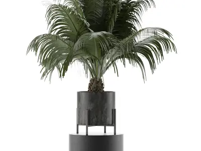 House Plant 31 3D model