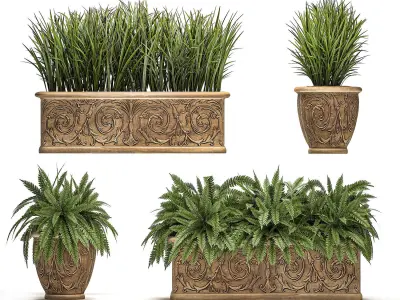 Ornamental bushes in classic flowerpots for parks and garden 494 3D model