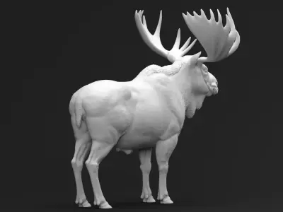 Bull Moose 01 3D print model