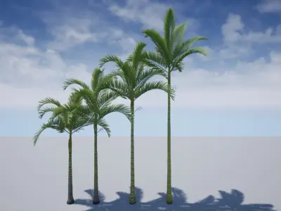HQ Plants Volume 5 Palms for unreal engine 3D model set of 24 3D model
