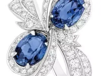 Ring with 2 stones 3D print model