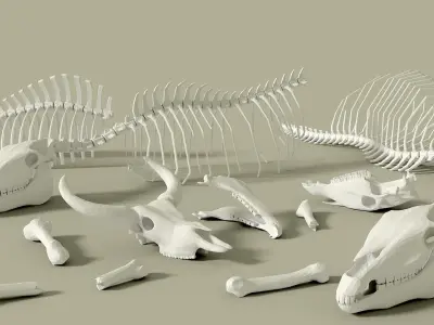 Animals bones with skulls Low-poly 3D model