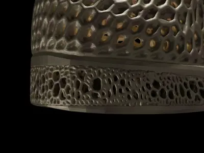 Wearable 3D print shoe 3D print model