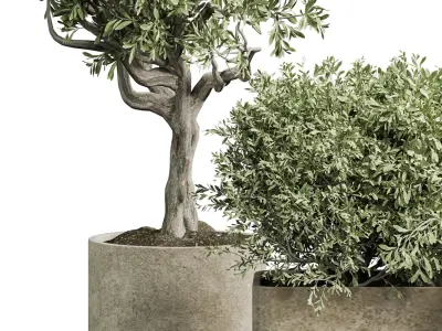 Indoor plant 04 3D model purchase