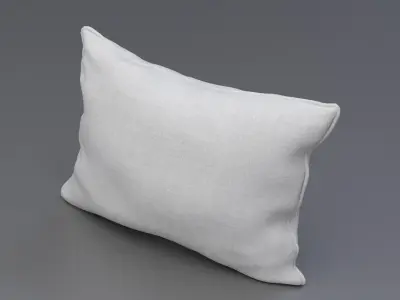 Piped Pillow 3D model