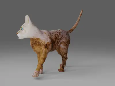Cat White Rigged and Animated Low-poly 3D model