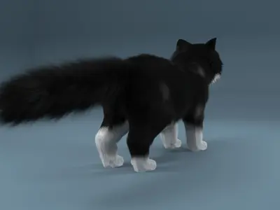 Persian cat Black and White 3D model