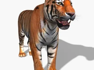 Awesome Tiger - 3d model 3D model