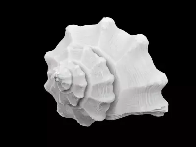 Spiral Seashell 3D print model 3D print model