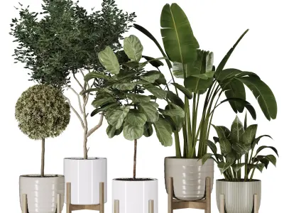 Plant Collection 06 3D model