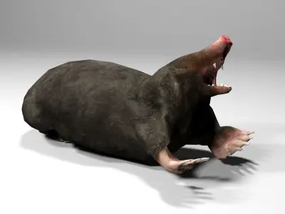 Mole Rigged Low-poly 3D model