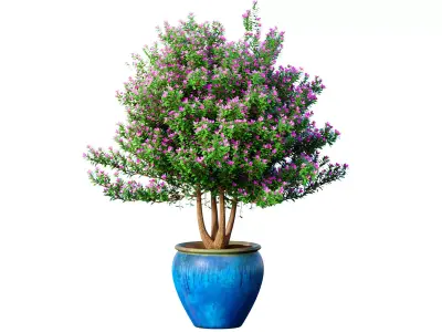 Decorative garden tree potted decoration Provence style 3D model