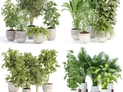 Collection of plants vol 3 3D Models 