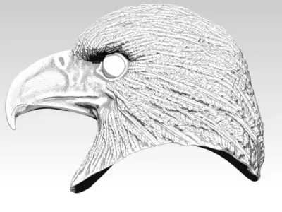 Eagle hawk  falcon  bird head bust 3D print model