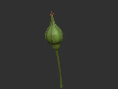 Rose LaerZ  Zbrush tool  Low-poly 3D model