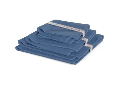 Other car care Microfiber Towel Set 3D model