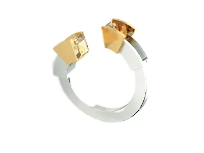 Antiphelus Ring Free 3D print model