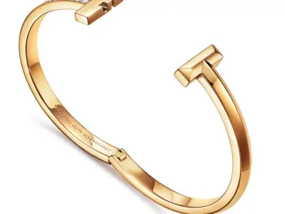 T1 Wide Diamond Hinged Bangle 3D print model