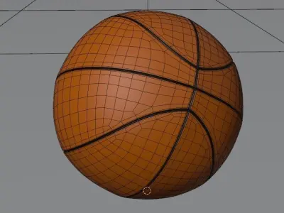 Basketball Balls 3D Model 3D model