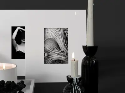 Decoration set by Kelly Hoppen  3D model