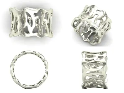 Ring shp4 3D print model