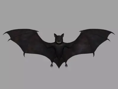 Bat-Rigged 3D model