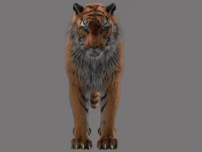 tiger 3D model