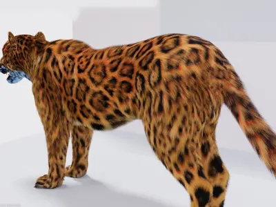 Realistic Fur Leopard 02 3D Model NO RIG Low-poly 3D model