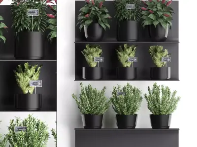 Plant set wall decor vertical garden 51 3D model