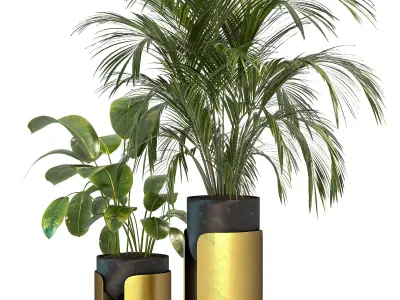 Plant Set 12 3D model