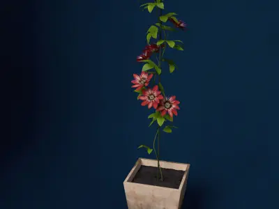XfrogPlants Passion Flower 3D model