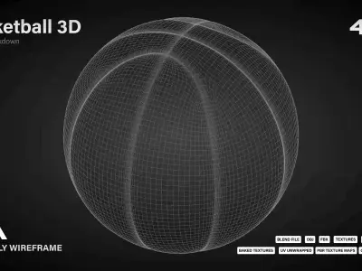 3D Basketball Model LP HP Low-poly 3D model