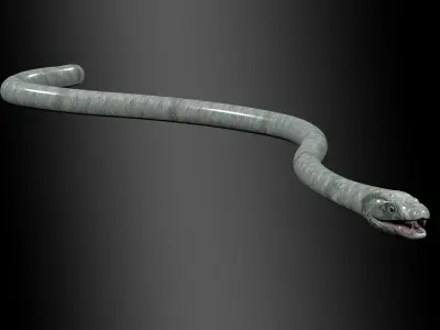 Black Mamba Snake Rig 3D model
