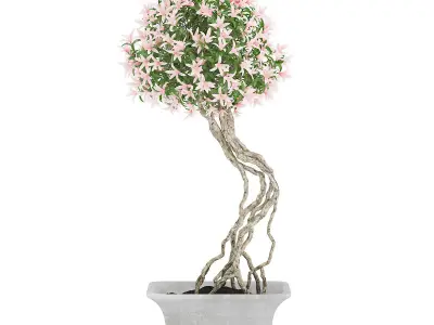 Flowering Tree in Concrete Pot 3D model