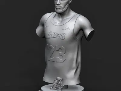 LeBron James 3D Printable 1 3D print model