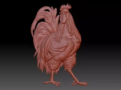  Cock  bird 3D print model