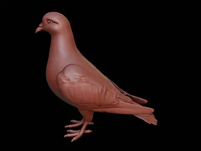 Pigeon Animal Sculpture 3D print model buy