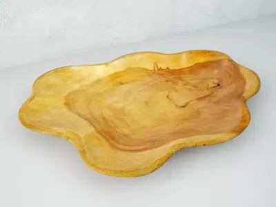 Teak Wood Wave Plate 3D model